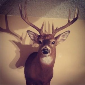 Meet your Posher, Trent